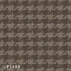 UP5488