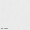 FPT2009
