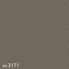 BA3171