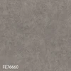 FE76660