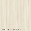 color chip