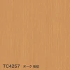 color chip