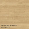 PP-FE2B01H-MAFF