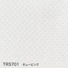 TR5701 キュービック