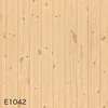 E1042