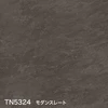 color chip