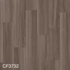 color chip