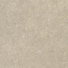 color chip