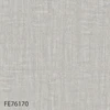 FE76170