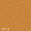 UP5053