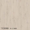 color chip