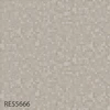 color chip