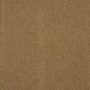 color chip