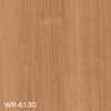 WR-6130
