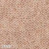 color chip