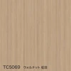color chip