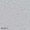 color chip