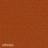 color chip