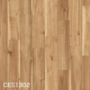 CES1302