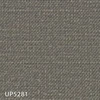 UP5281