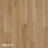color chip