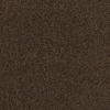 color chip