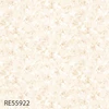 color chip
