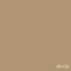 color chip