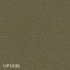 UP5036