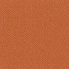 color chip