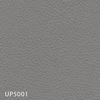 UP5001