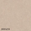 color chip