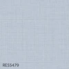 RE55479