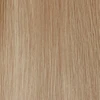 color chip