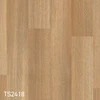 TS2418