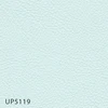 UP5119