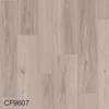 color chip