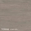color chip
