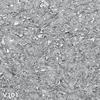 V101