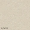 color chip