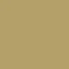 color chip