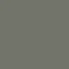 color chip