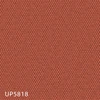 color chip