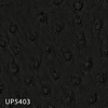 UP5403