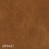 UP5421