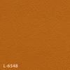 color chip