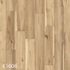 E1006