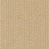 color chip