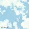 FE78670