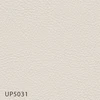 UP5031